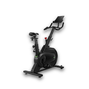 Kingsmith Indoor Spinning Bike H1